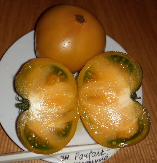 Гном Идеальный